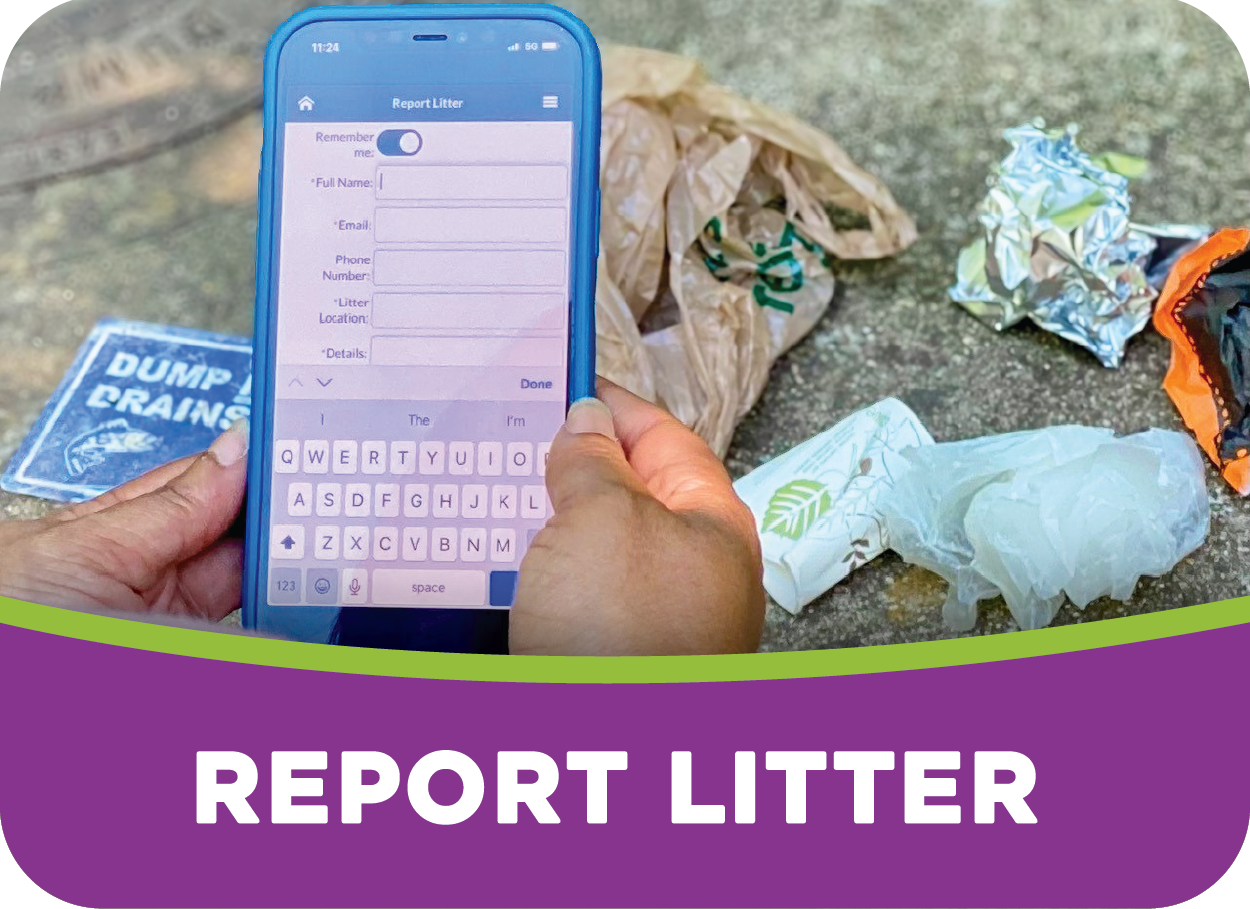 Report Litter